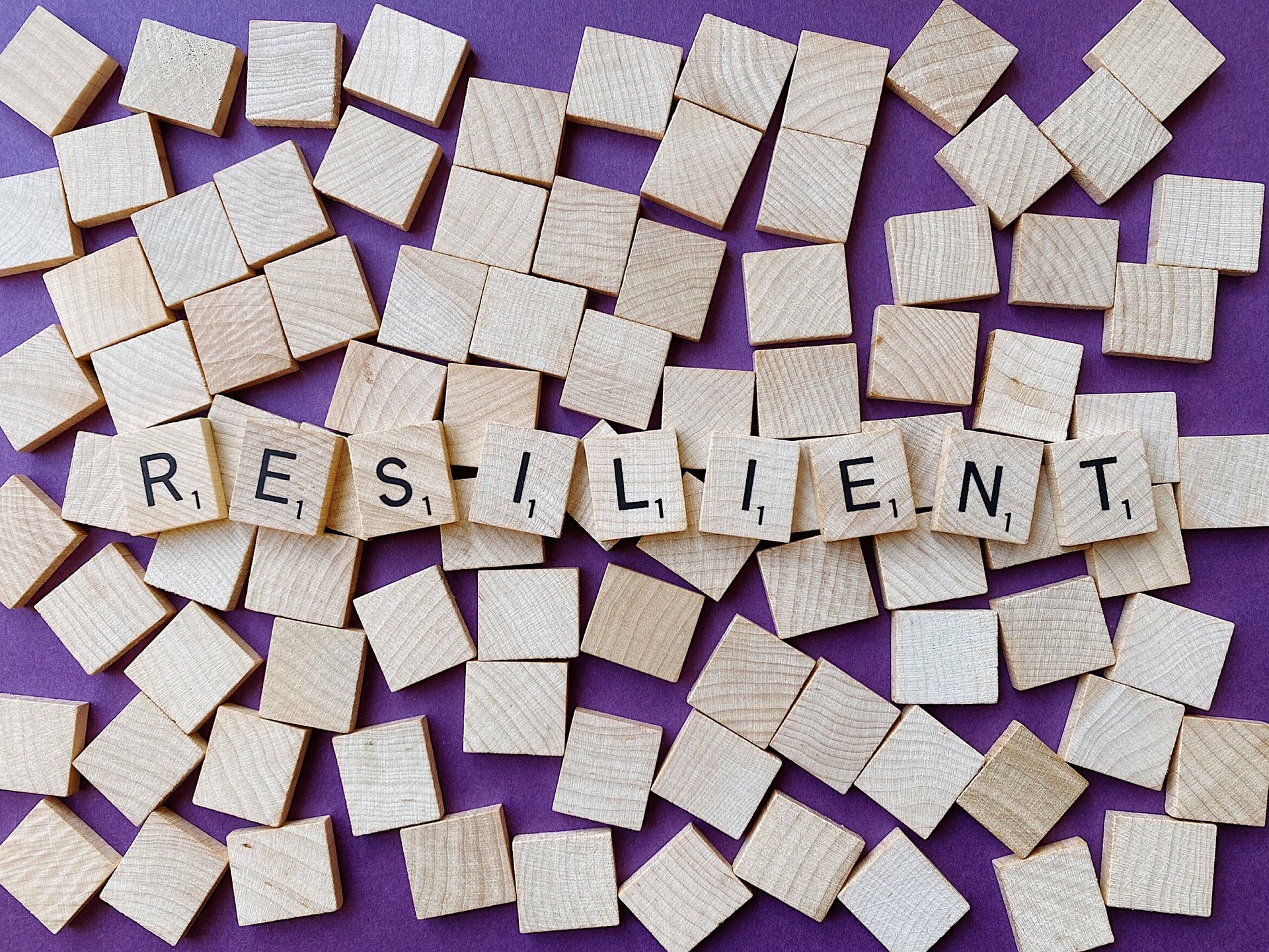 resilient supply chain, résilience